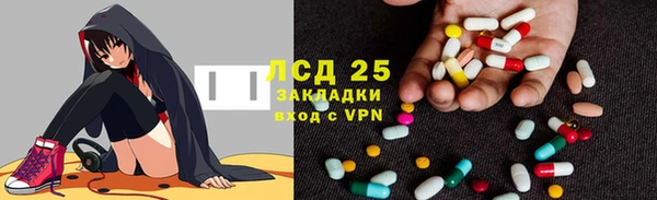 сатива Горнозаводск