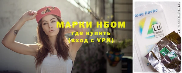 сатива Горнозаводск