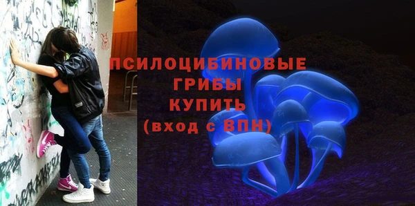 сатива Горнозаводск