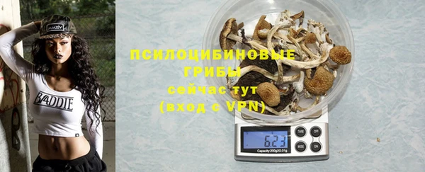 сатива Горнозаводск