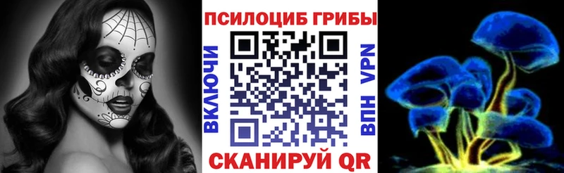 Псилоцибиновые грибы Cubensis  даркнет сайт  Нижневартовск 